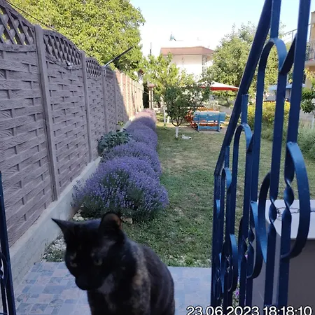 ゲストハウス Tourist Paradis 3*