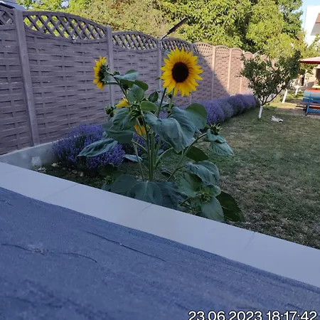 ゲストハウス Tourist Paradis コスティネシュティ