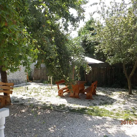 Tourist Paradis ゲストハウス コスティネシュティ