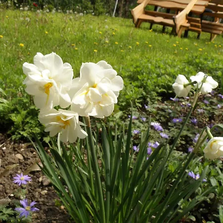 Vendégház Tourist Paradis 3*