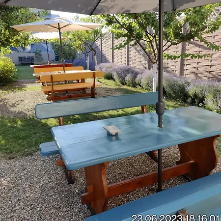 Guest house Tourist Paradis Costinesti