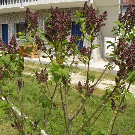 Tourist Paradis Vendégház Costinești